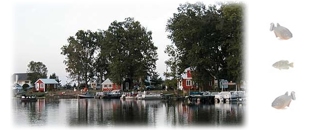 Moon Lake Resort is located in Turtle Lake, Wisconsin. Moon Lake Resort offers the finest fishing!